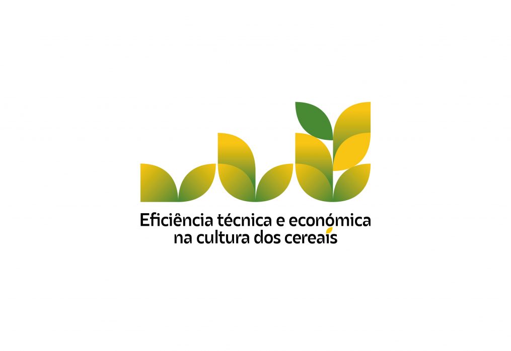 8ª Sessão Formação 24/25